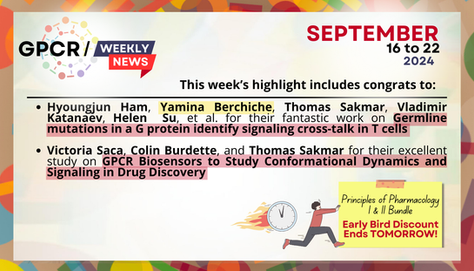 📢 Early Bird Registration Ends Tomorrow! | Sep 16 - 22, 2024