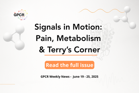 Signals in Motion: Pain, Metabolism & Terry’s Corner