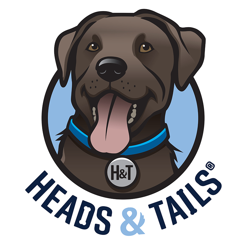 dog barking collar pets at home