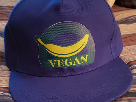You Cannot Argue Against Veganism | Argumentative Analysis
