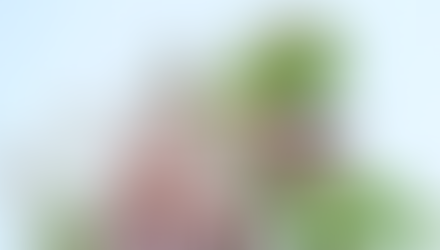 From Critic to Appreciation.