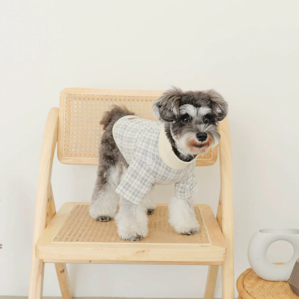 Thumbnail: Mon Cheri Check Pattern Top - Grey