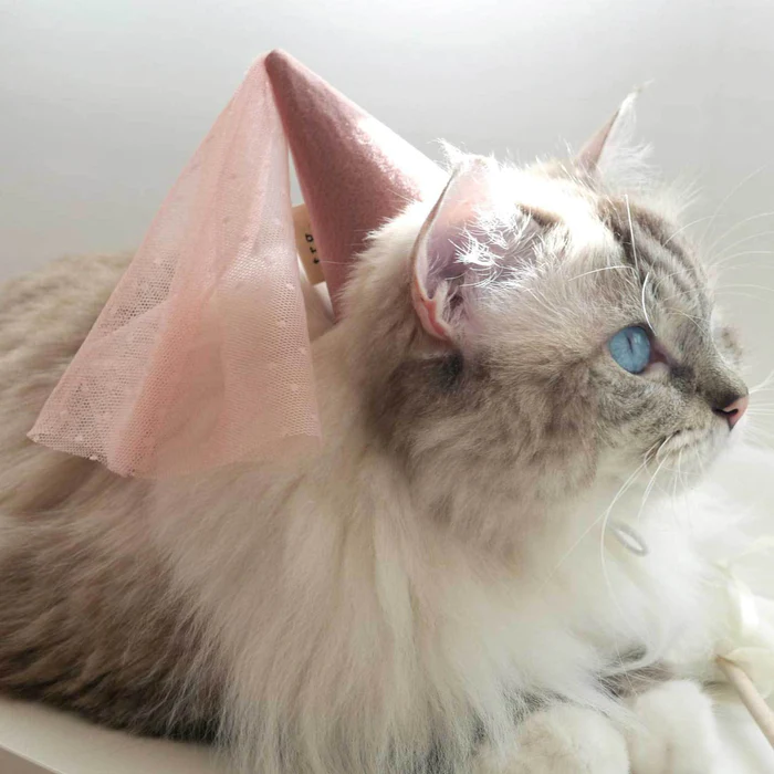 Thumbnail: The Royal Grocery Bella Hat - Pink