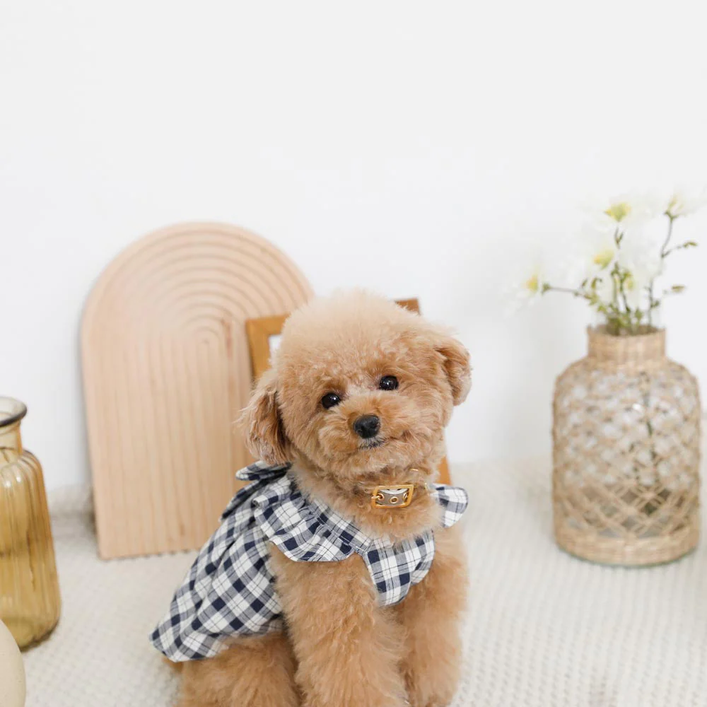 Thumbnail: Mon Cheri Check Ribbon Dress (Navy)