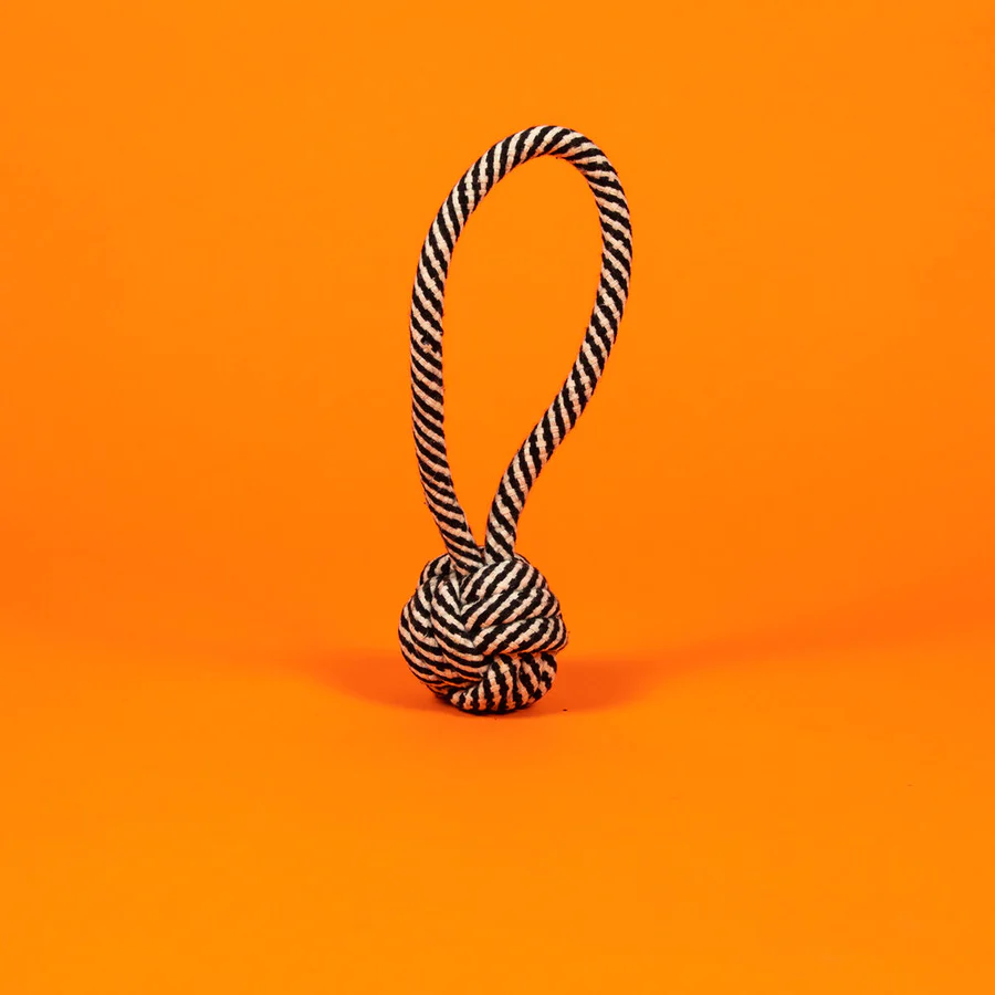Thumbnail: Ware of the Dog Rope Knot Toy