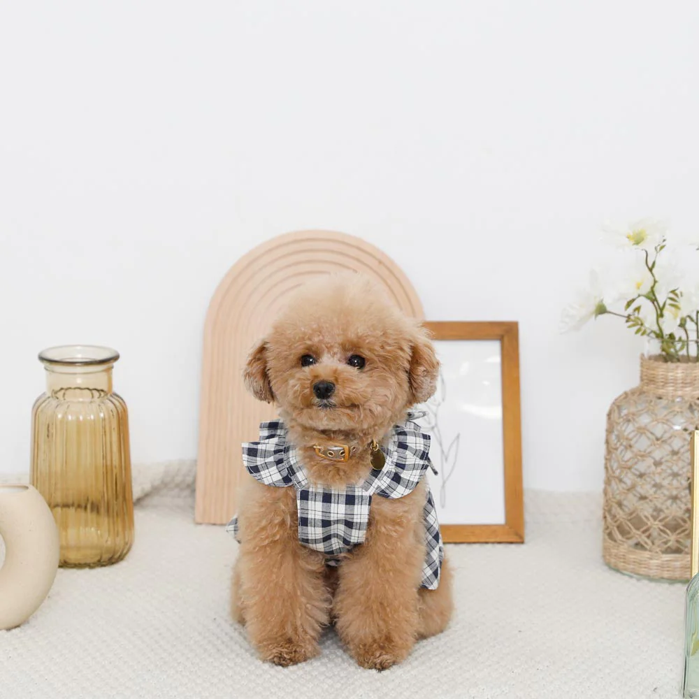 Thumbnail: Mon Cheri Check Ribbon Dress (Navy)
