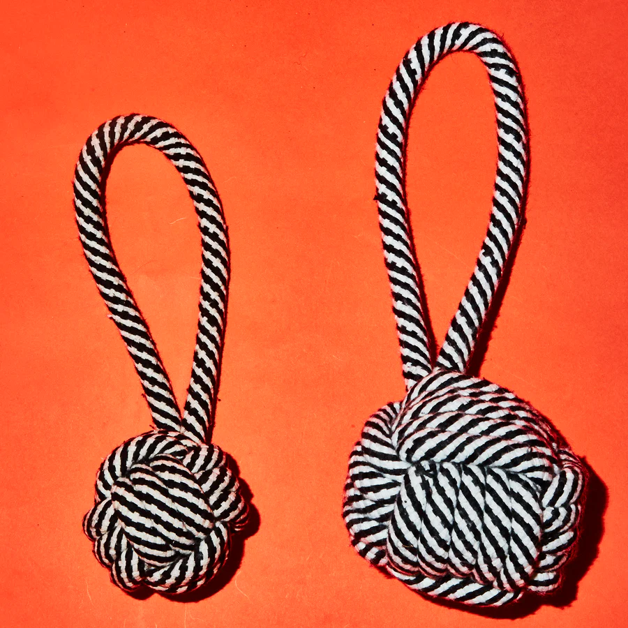 Thumbnail: Ware of the Dog Rope Knot Toy