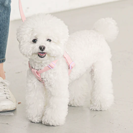 Thumbnail: Bite Me Candy Crayon Harness - Light Pink