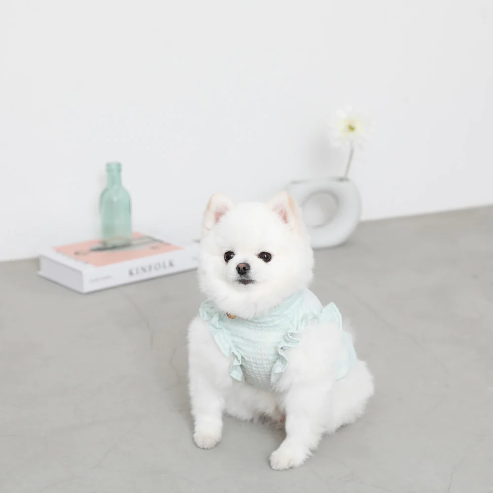 Thumbnail: Mon Cheri Sea Check Table Frill Colour Shirt with Scallined