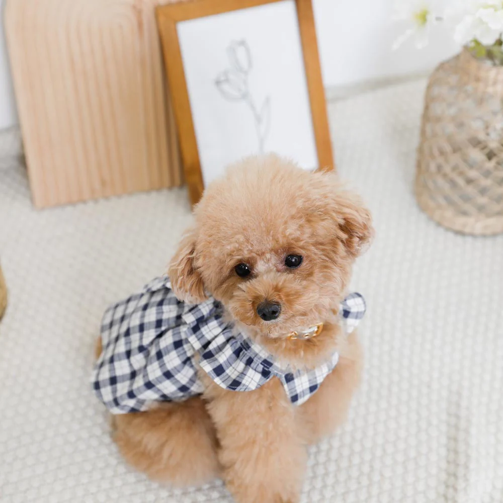 Thumbnail: Mon Cheri Check Ribbon Dress (Navy)