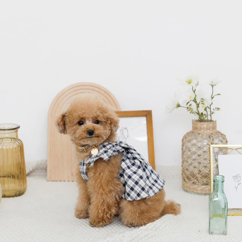 Thumbnail: Mon Cheri Check Ribbon Dress (Navy)