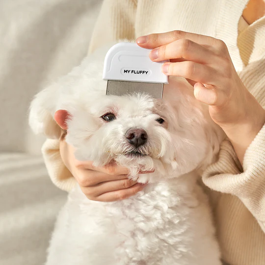 Dog hot sale face comb