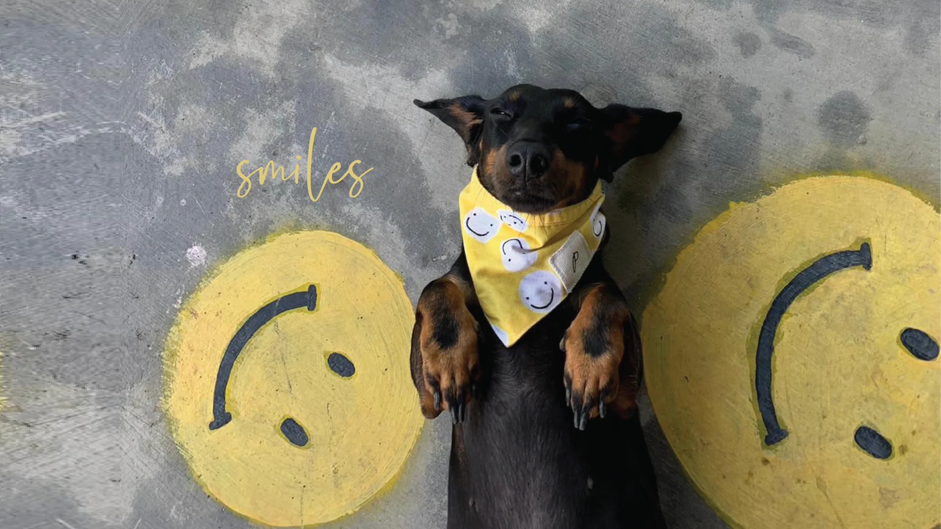 Smiles_Header_1920_x_1080px.webp
