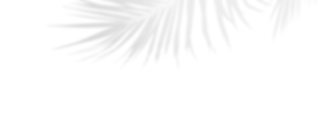 PALM LEAF 4.png