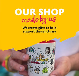 our shop new icon.jpg