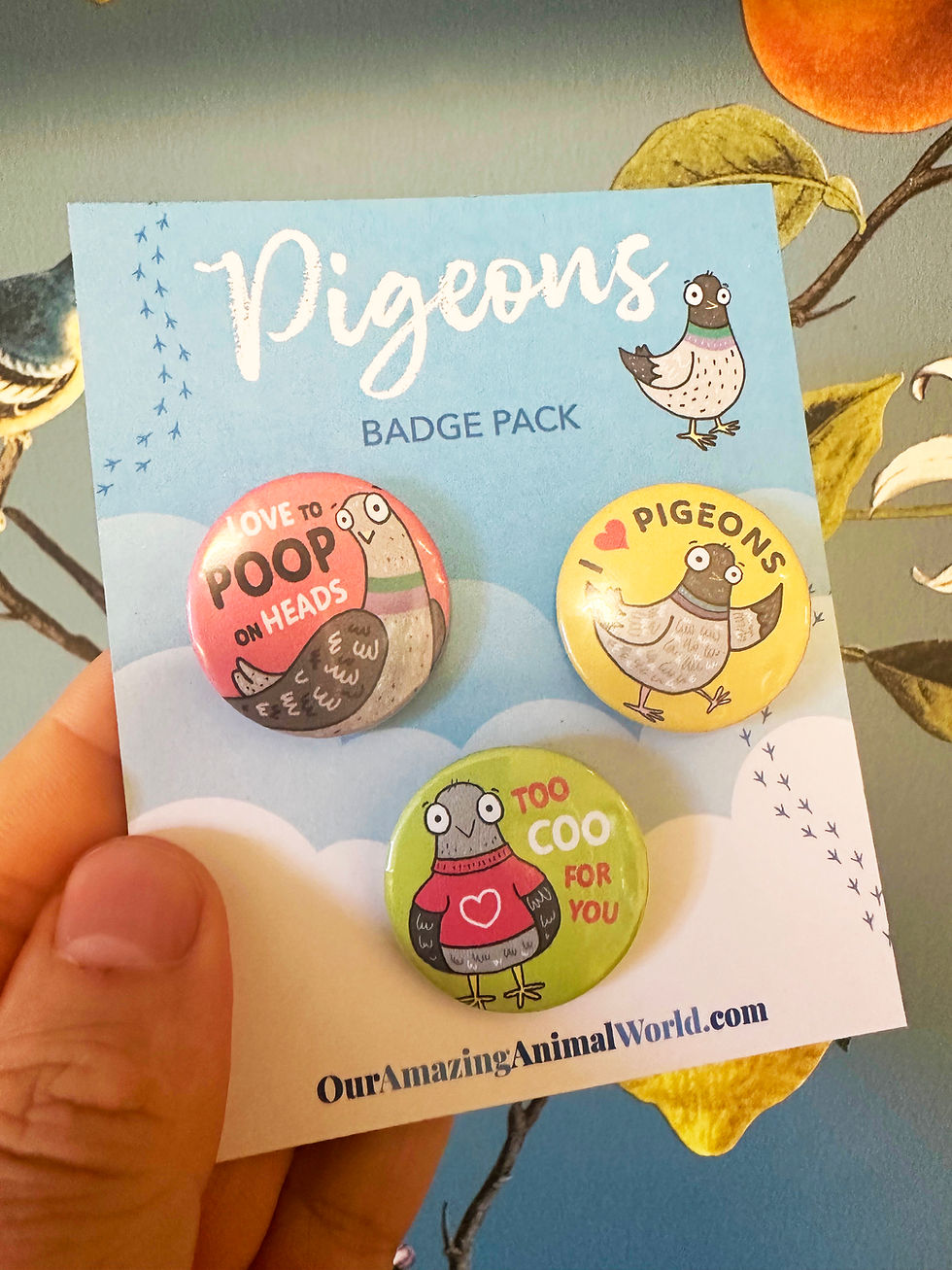 Set of 3 pigeon badges