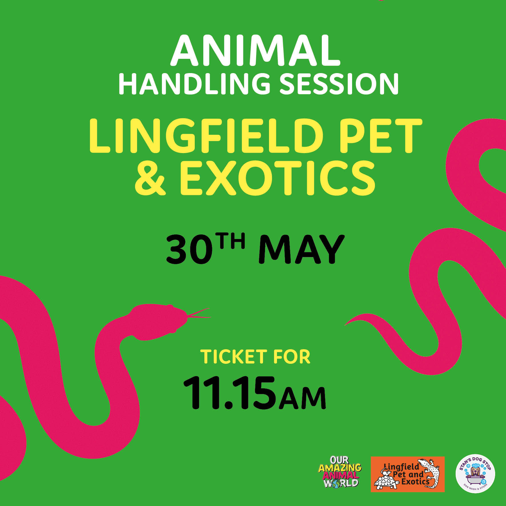 Ticket to Lingfield Pet And Exotics on 30th May at 11.15am