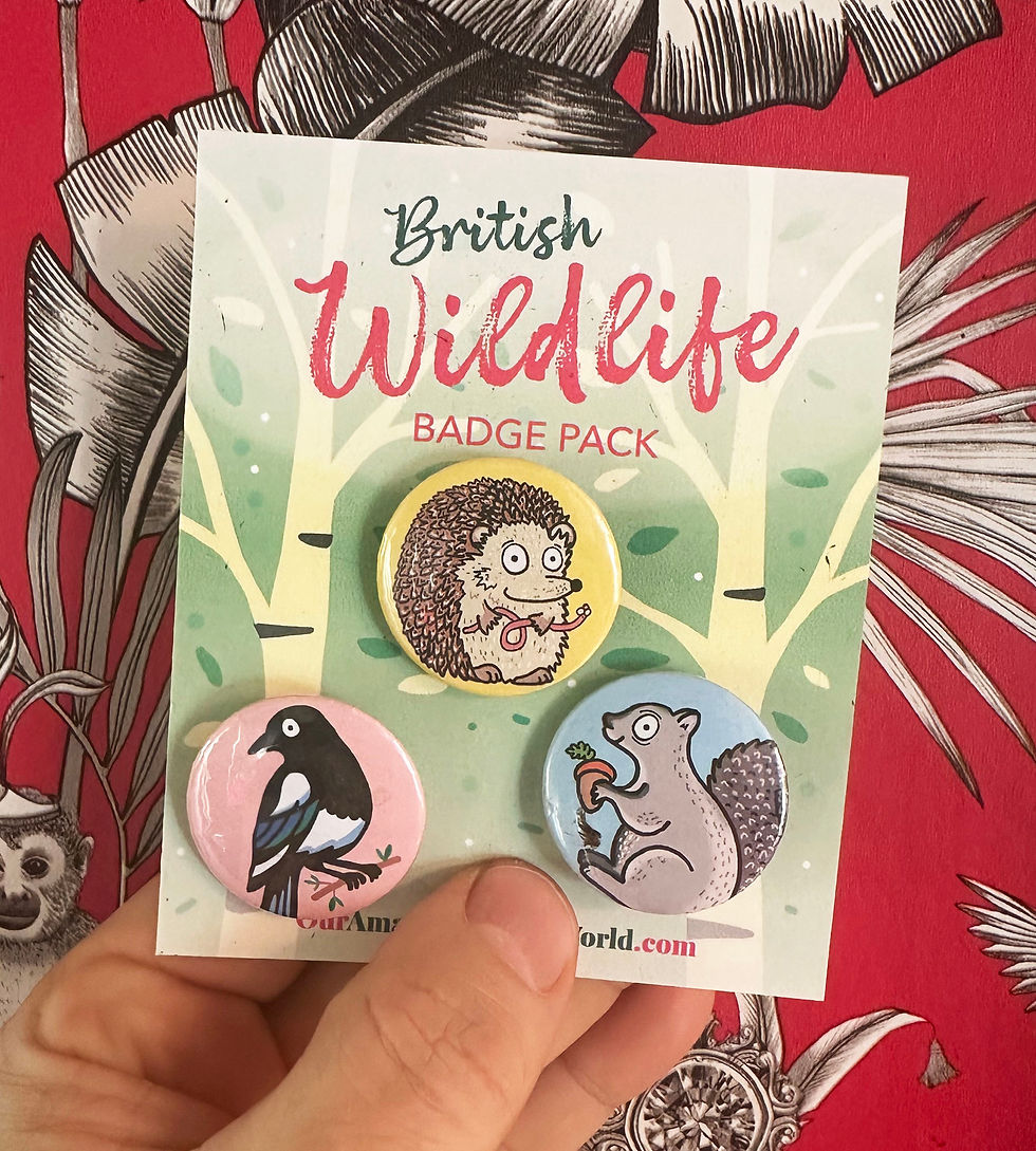 Thumbnail: Set of 3 British wildlife badges