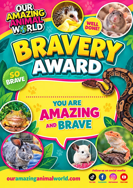 Bravery award.jpg
