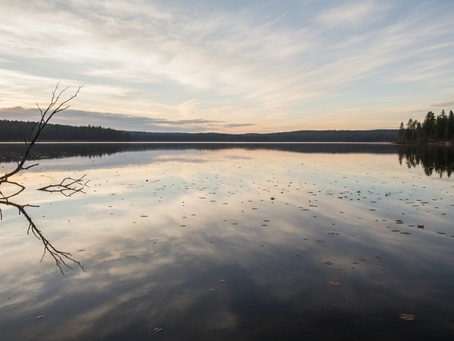 Fordeler med mindfulness: Hvordan praktisering kan forvandle livet ditt