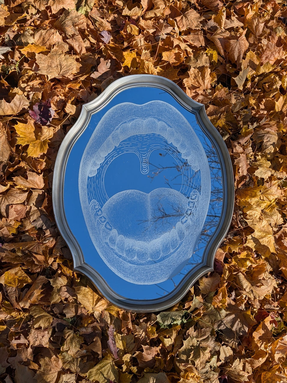 Finished mouth mirror outside in the leaves