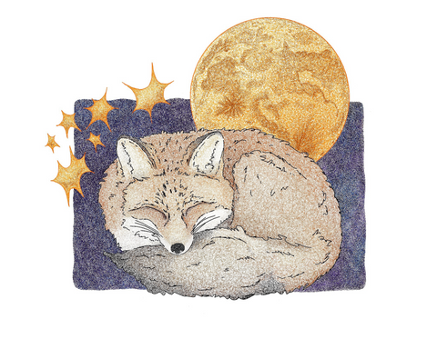 'Sleepy Fox'