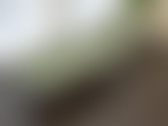 Tổng hợp những lưu ý khi sử dụng giường xếp