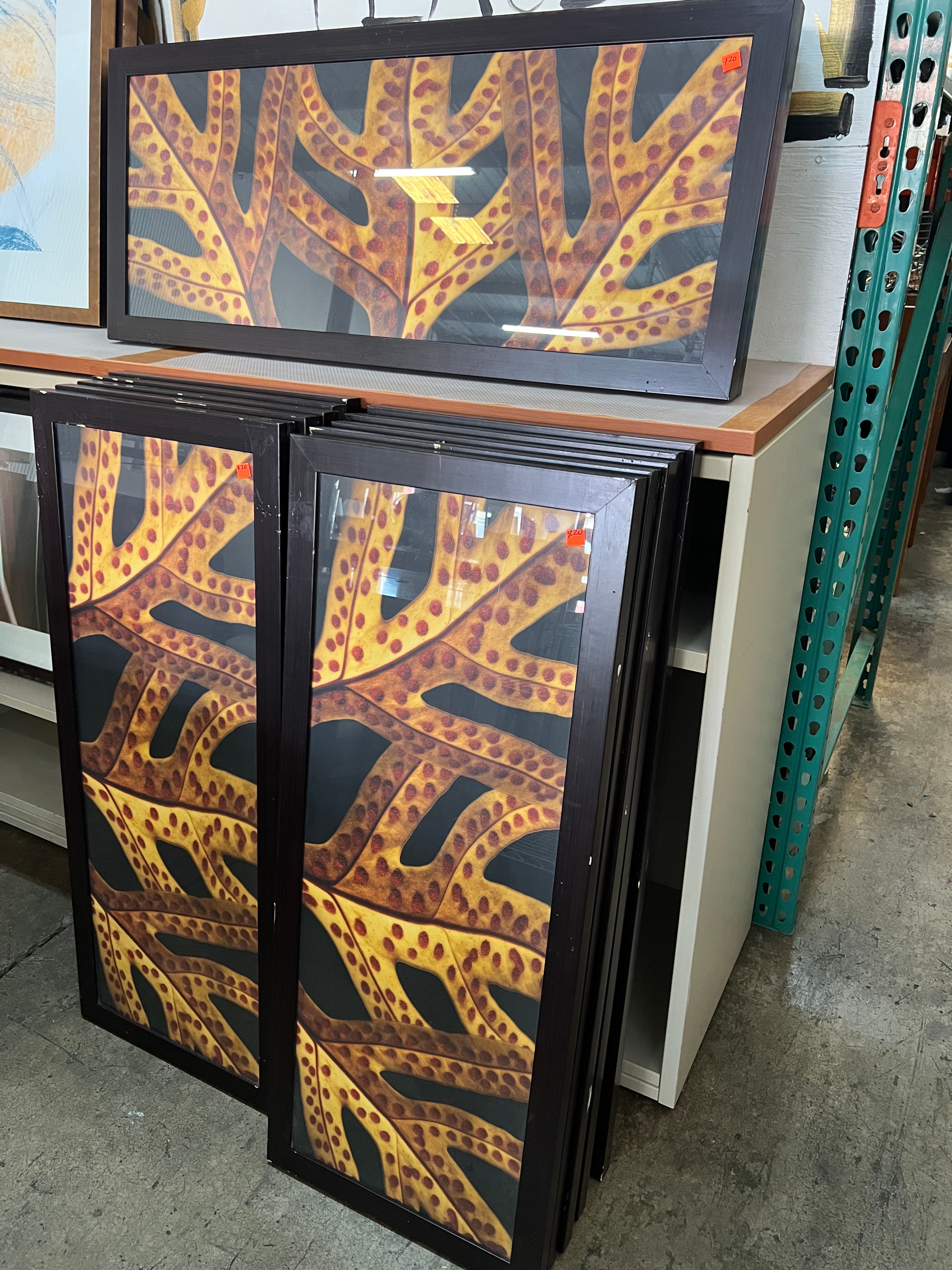 Laua’e Fern Leaf Print