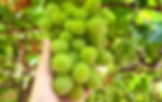 a7adfa50-0a46-4813-8741-d99309702cdb_edited.jpg