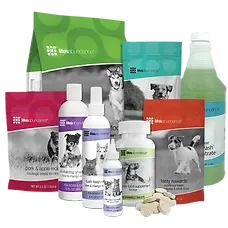 Start-Pack-Dog-400.webp