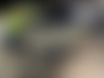 SAIA - Baton Rouge - Complete