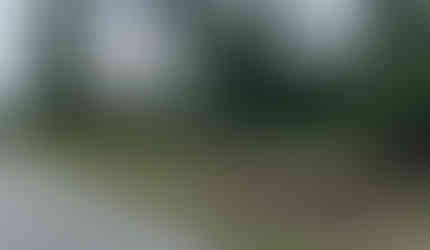 Clearing and grubbing process.