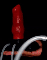 ezgif-7-cb2b7373ed.gif