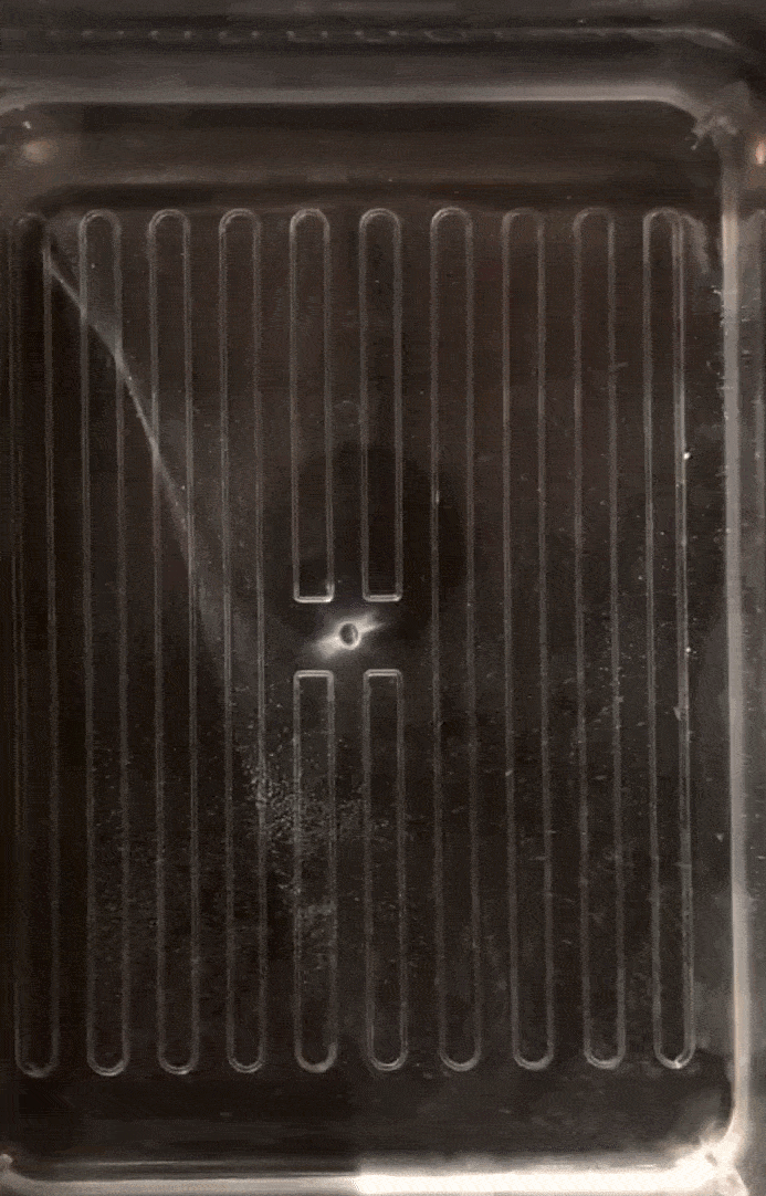 ezgif-7f3a1000bbba3c85.gif