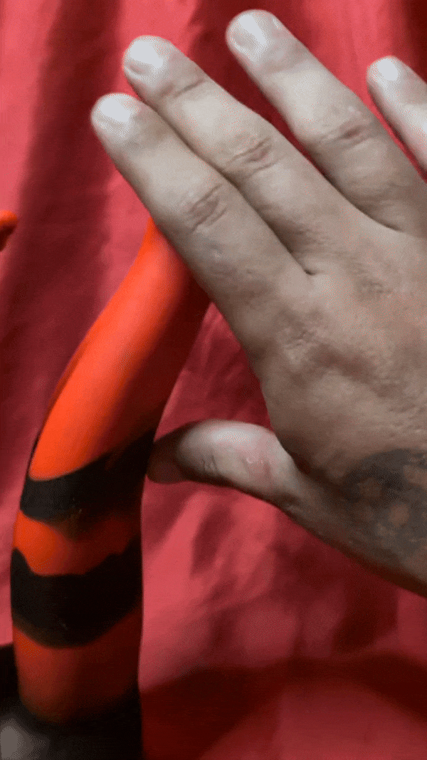 Shkanla Monster Tentacle Tongue material flexibility 