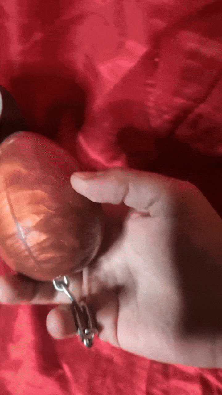 2.gif