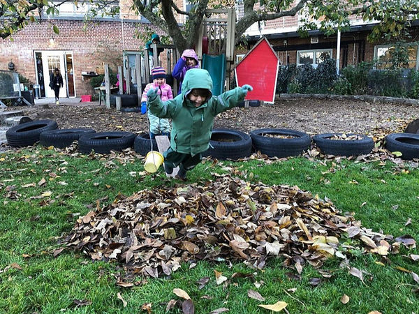 Andrus Leaf Jump_edited.jpg