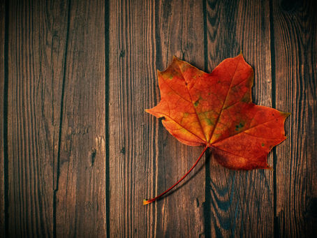 fall leaf warm cozy color events barn backdrop