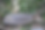 Picture57.png