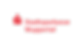 Logo StSpk Wuppertal.png