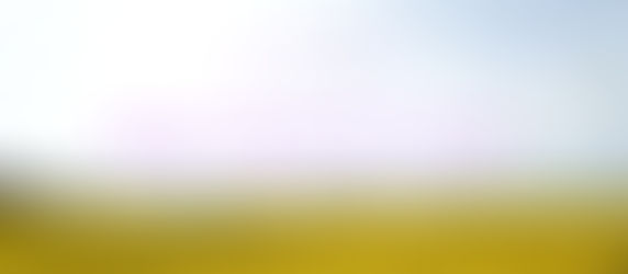 農園 Webリニューアル