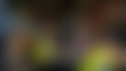 Introducing Northumbria Connected