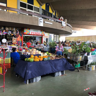 Blick in die runde Markthalle von Pietermaai