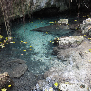 Wasser in der Höhle, wo sind die Schildkröten?