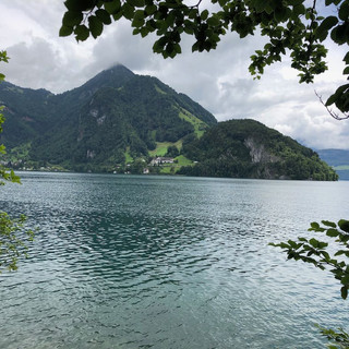 ...mit Sicht auf Vitznau sind wir fleissig gewandert.