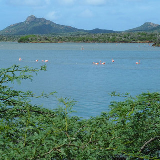 Die kleine Insel hat grosse Seen...