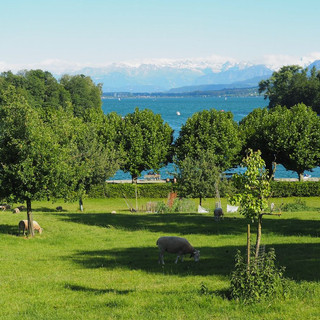 ...nach der Wanderung am Sempachersee