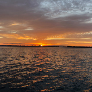 IMG_2401.jpeg