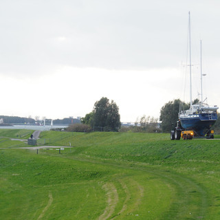 PA270468.jpeg