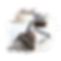 1a5808f456d9fed142df85010cd36db17dd4142d.png